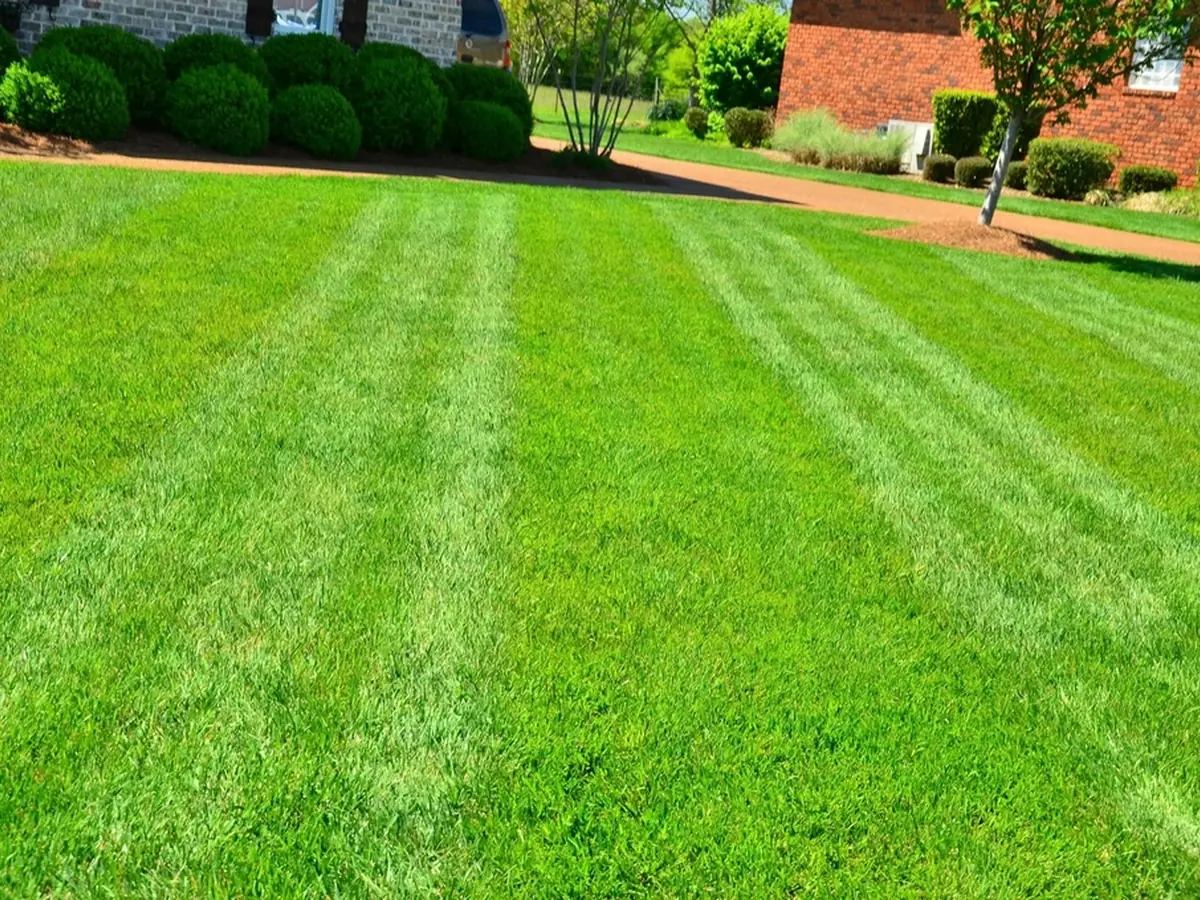 Een goed onderhouden, groene tuin